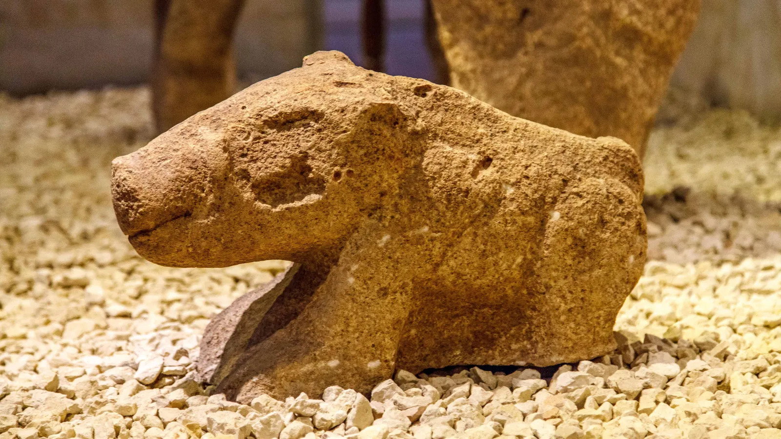 the-animals-of-g-bekli-tepe